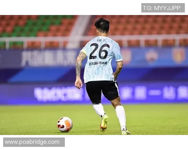 武汉排球队实力解析：从历史成就到未来展望的全面探讨