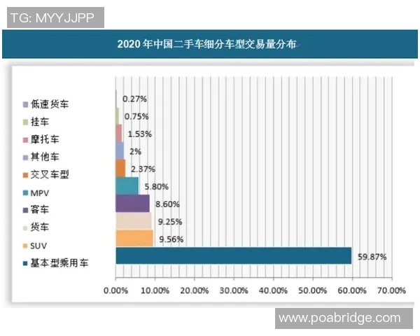 深入解析上海攀岩队实力表现的数据分析与趋势研究