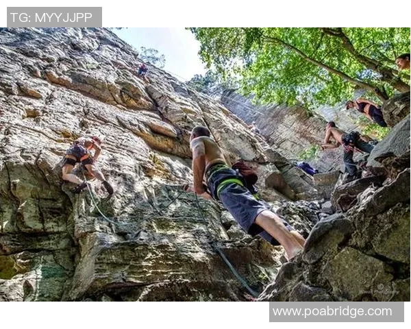 重庆攀岩队在极限运动会中以50分领先其他队伍展现出强大实力