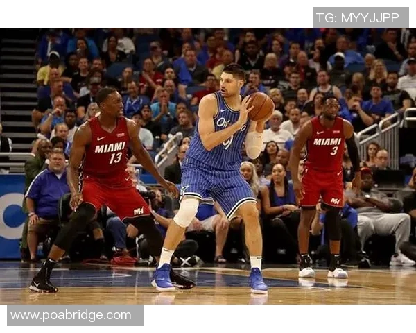 尼古拉武切维奇的传奇人生与对篮球运动的深远影响