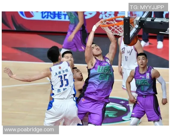 陶汉林：从篮球场上的明星到社会责任的践行者的成长之路