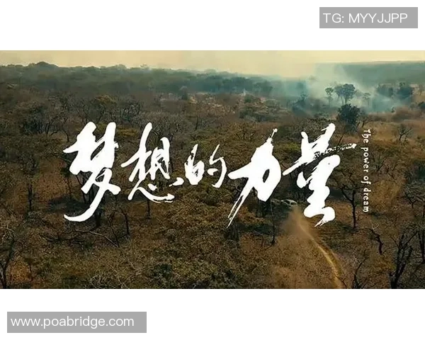 马力克的传奇人生与奋斗历程揭示了梦想与坚持的力量